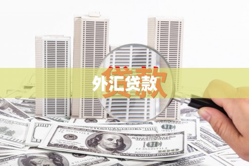 杏花岭外汇贷款