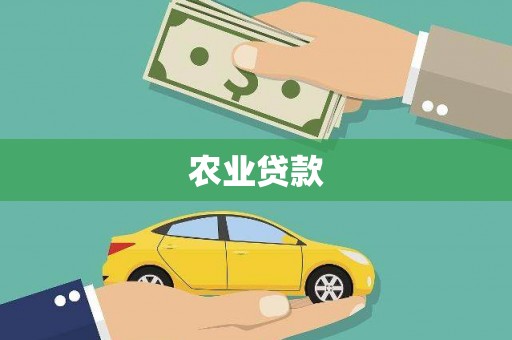 杏花岭农业贷款