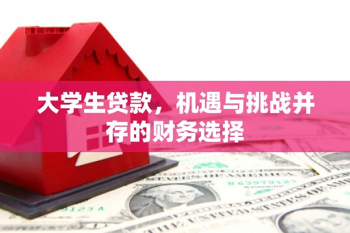 杏花岭大学生贷款，机遇与挑战并存的财务选择