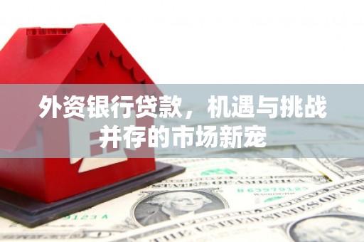 杏花岭外资银行贷款，机遇与挑战并存的市场新宠