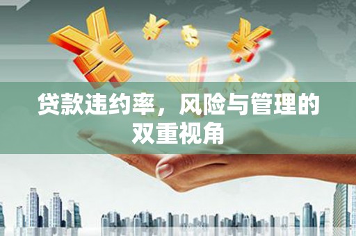 杏花岭贷款违约率，风险与管理的双重视角