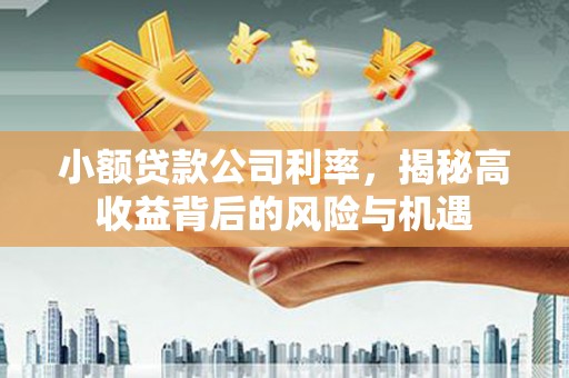 杏花岭小额贷款公司利率，揭秘高收益背后的风险与机遇