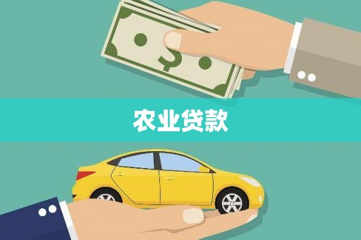 杏花岭农业贷款