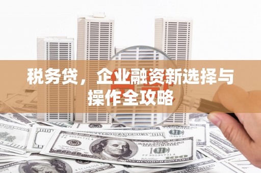 杏花岭税务贷，企业融资新选择与操作全攻略