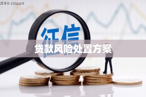 杏花岭贷款风险处置方案