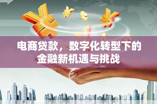 杏花岭电商贷款，数字化转型下的金融新机遇与挑战