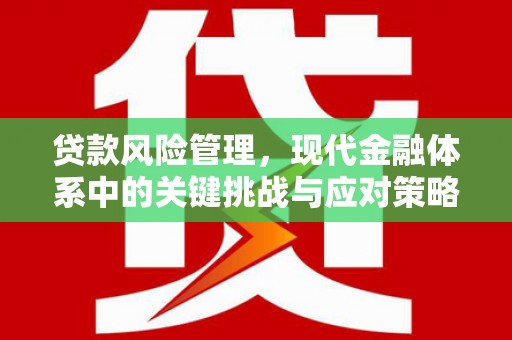 杏花岭贷款风险管理，现代金融体系中的关键挑战与应对策略