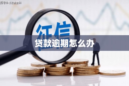 杏花岭贷款逾期怎么办