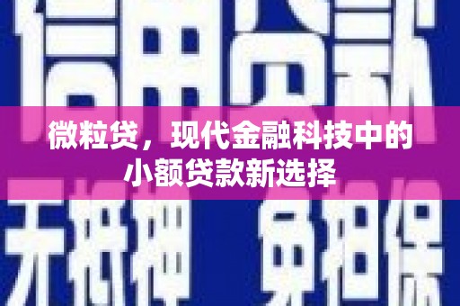 杏花岭微粒贷，现代金融科技中的小额贷款新选择