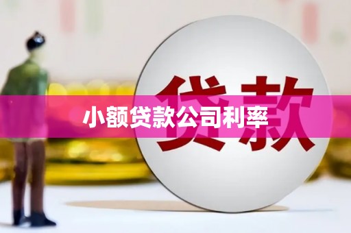 杏花岭小额贷款公司利率