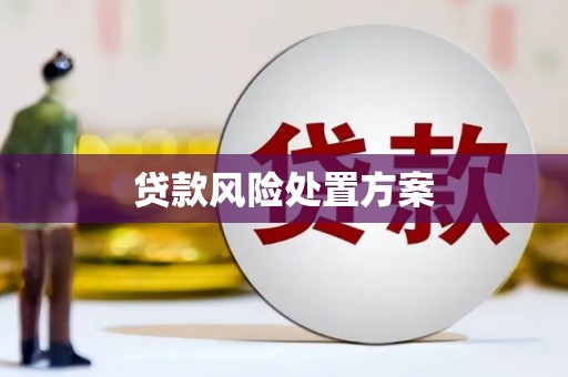 杏花岭贷款风险处置方案