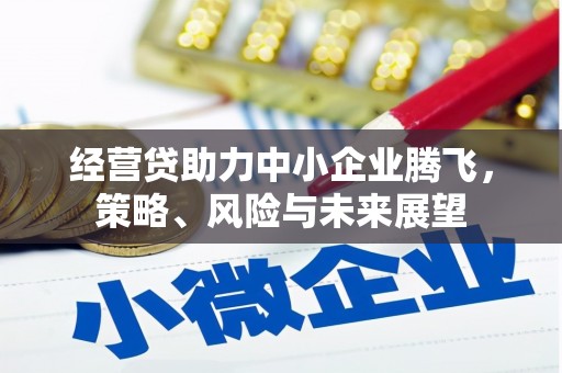 杏花岭经营贷助力中小企业腾飞，策略、风险与未来展望