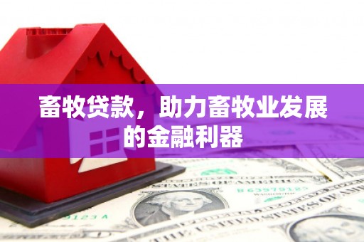 杏花岭畜牧贷款，助力畜牧业发展的金融利器