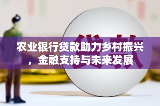 杏花岭农业银行贷款助力乡村振兴，金融支持与未来发展
