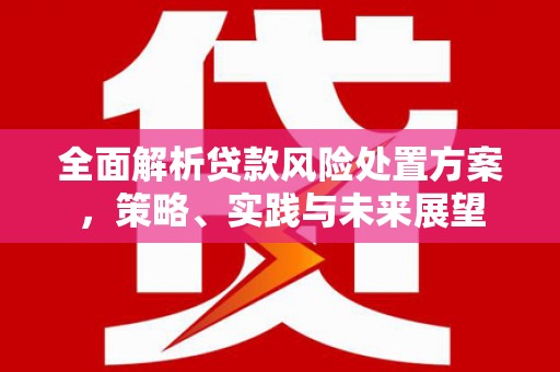 杏花岭全面解析贷款风险处置方案，策略、实践与未来展望