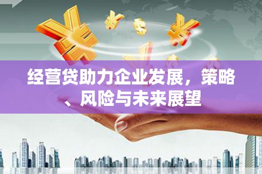 杏花岭经营贷助力企业发展，策略、风险与未来展望
