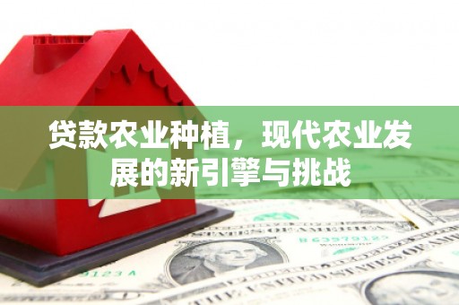 杏花岭贷款农业种植，现代农业发展的新引擎与挑战