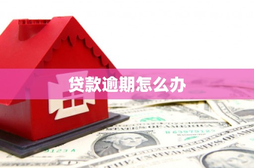 杏花岭贷款逾期怎么办