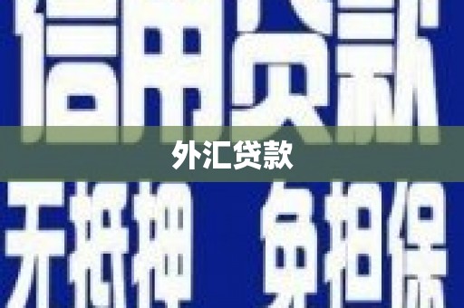 杏花岭外汇贷款