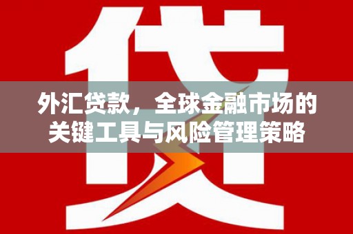 杏花岭外汇贷款，全球金融市场的关键工具与风险管理策略