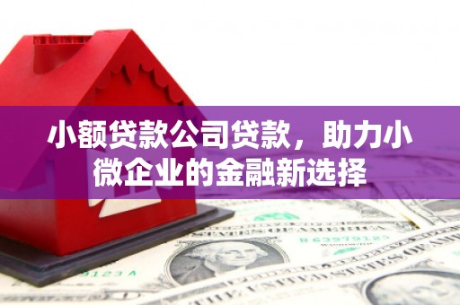 杏花岭小额贷款公司贷款，助力小微企业的金融新选择