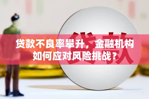 杏花岭贷款不良率攀升，金融机构如何应对风险挑战？