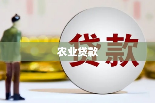 杏花岭农业贷款