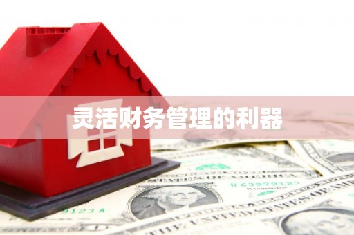 杏花岭灵活财务管理的利器