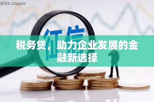 杏花岭税务贷，助力企业发展的金融新选择