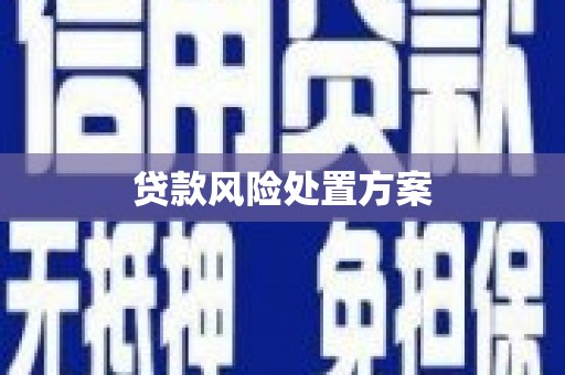 杏花岭贷款风险处置方案