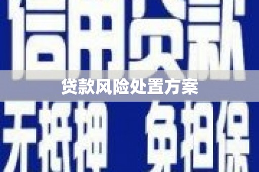 杏花岭贷款风险处置方案