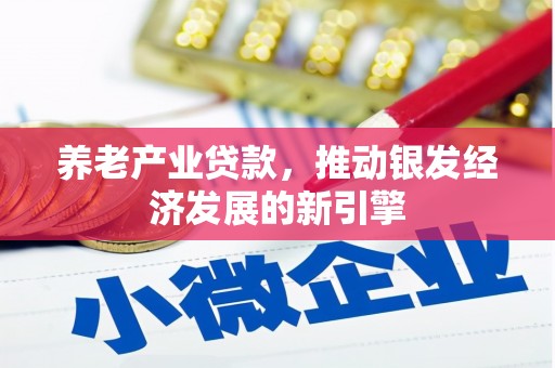杏花岭养老产业贷款，推动银发经济发展的新引擎