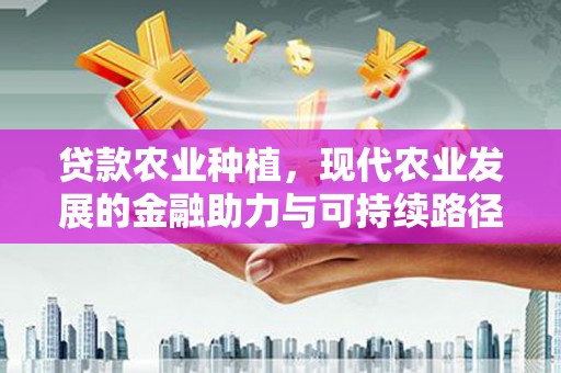 杏花岭贷款农业种植，现代农业发展的金融助力与可持续路径