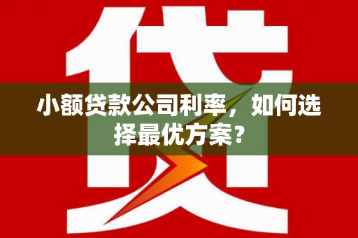 杏花岭小额贷款公司利率，如何选择最优方案？
