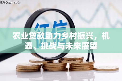 杏花岭农业贷款助力乡村振兴，机遇、挑战与未来展望