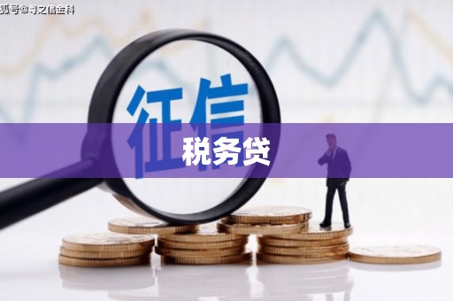 杏花岭税务贷
