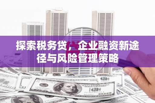 杏花岭探索税务贷，企业融资新途径与风险管理策略