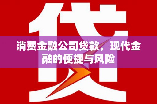 杏花岭消费金融公司贷款，现代金融的便捷与风险