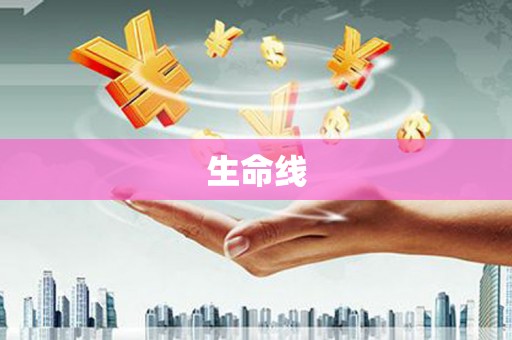 杏花岭生命线