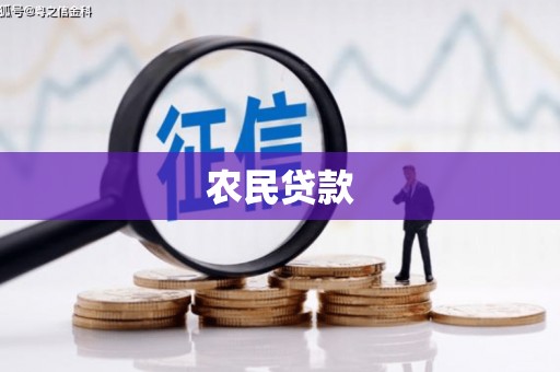 杏花岭农民贷款