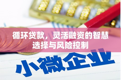 杏花岭循环贷款，灵活融资的智慧选择与风险控制