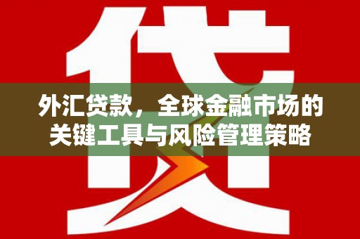 杏花岭外汇贷款，全球金融市场的关键工具与风险管理策略