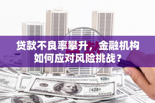 杏花岭贷款不良率攀升，金融机构如何应对风险挑战？