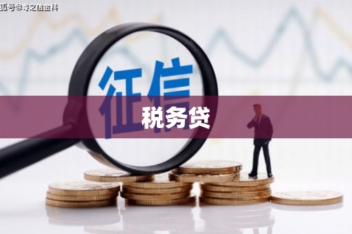 杏花岭税务贷