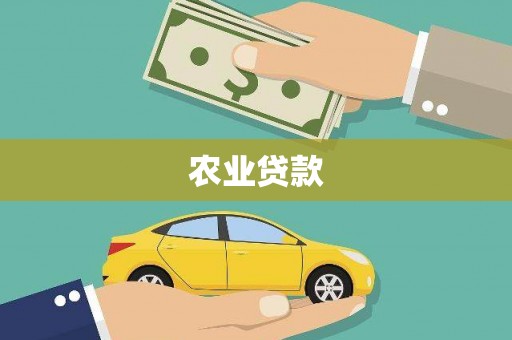 杏花岭农业贷款