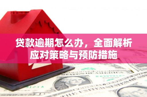 杏花岭贷款逾期怎么办，全面解析应对策略与预防措施