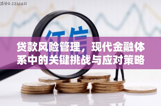 杏花岭贷款风险管理，现代金融体系中的关键挑战与应对策略