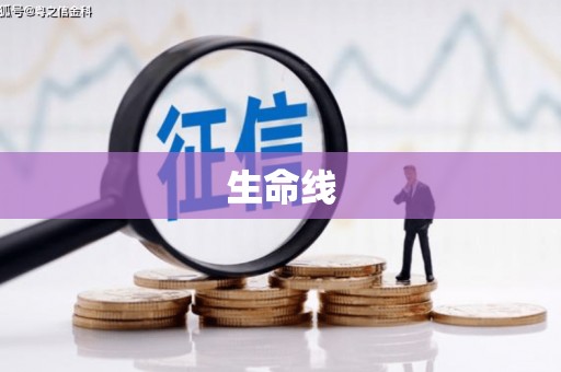 杏花岭生命线