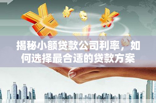 杏花岭揭秘小额贷款公司利率，如何选择最合适的贷款方案