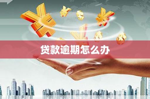 杏花岭贷款逾期怎么办